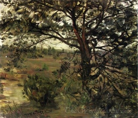 Luneberger Heide (Luneberger Heath)